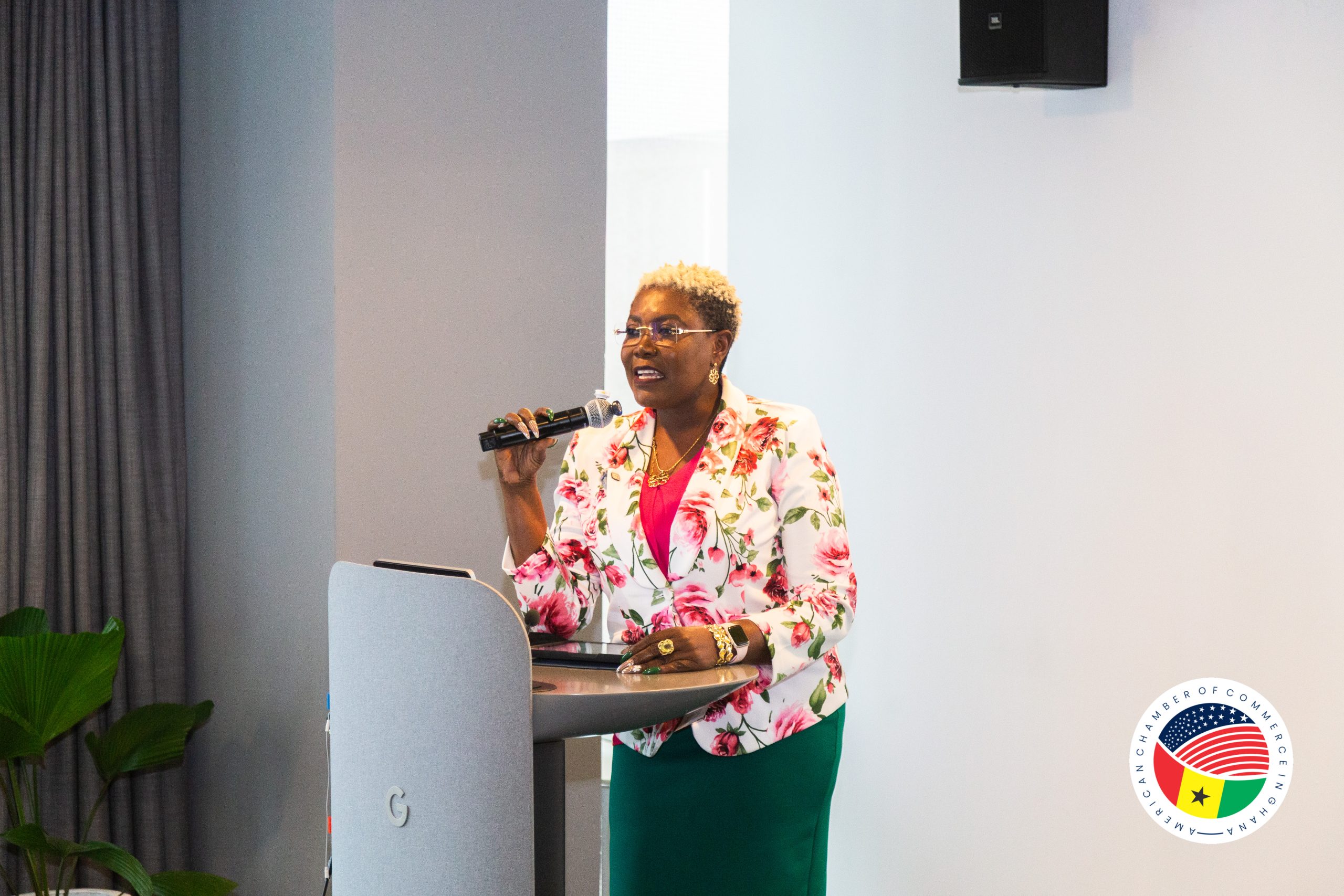 CEO Doris Afanyedey urges regulatory predictability and open investment frameworks to unlock Ghana's AI ambitions on the global stage
